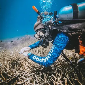 Dpm Diving & Bar 3*, Koh Tao Thailand